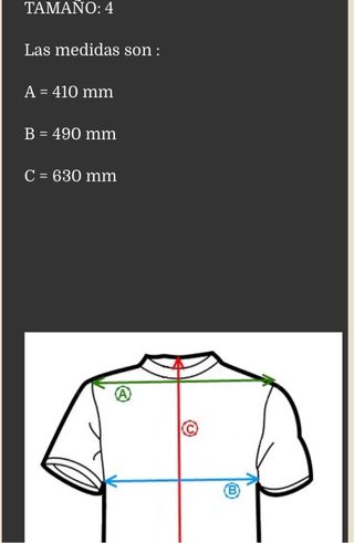 Maillot Jolly Ciclismo Talla L, muy poco usado.