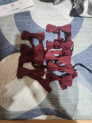 Lote 10 pajaritas granate