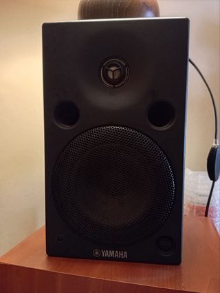 Monitores Yamaha MSP5 + Subwoofer Colorsit