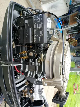 Fueraborda Suzuki 25cv