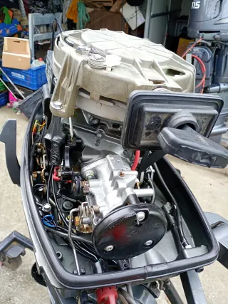 Fueraborda Suzuki 25cv