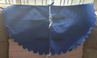 Alas de pájaro para disfraz