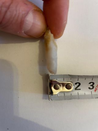 Set 3 Punte di Freccia Artigianali in Selce