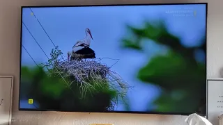 Televisor Samsung 50'