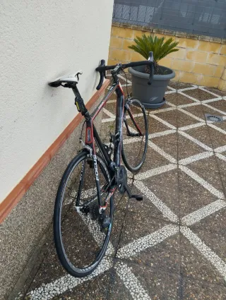 Bicicleta de carretera Focus