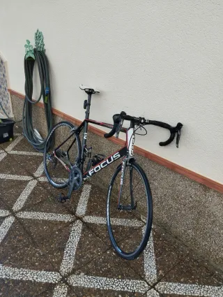 Bicicleta de carretera Focus