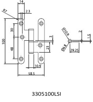 Cerradura y placa de seguridad dorada