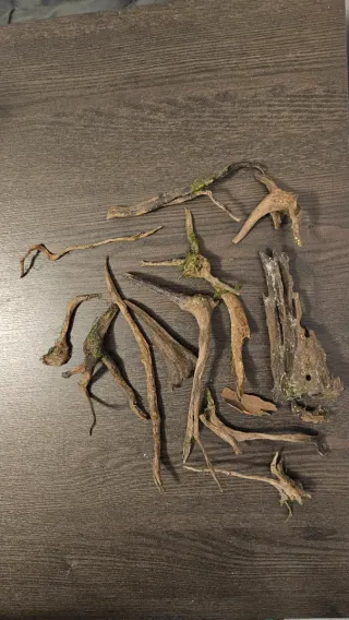 Troncos para acuario natural