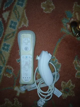Consola Nintendo Wii Blanca, con poco uso