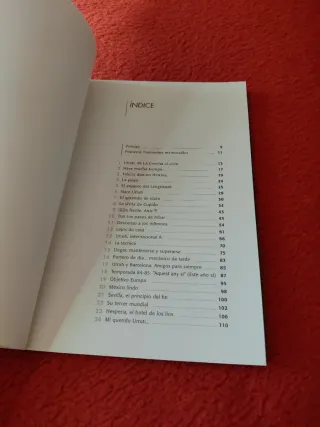 Urruti de La Concha al cielo