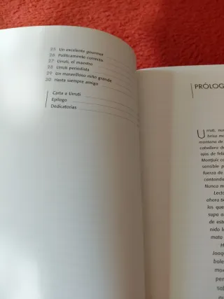 Urruti de La Concha al cielo