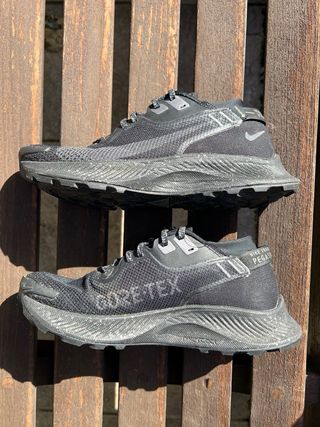 Nike Pegasus Trail 2 Gore-tex 40.5