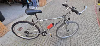 Bicicleta de montaña