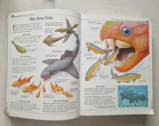 The Usborne Encyclopedia of World History