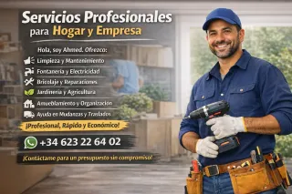Título: Servicios Profesionales Diversos para Hoga