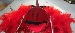 Disfraz Carnaval Ave Fénix