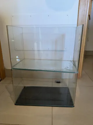 Dos urnas de cristal con frontal panorámico.