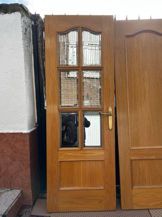 Puertas de madera con cristal y macizas
