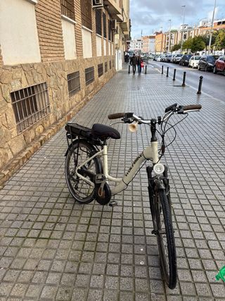 Bicicleta Eléctrica WOLFBIKE Radaway R28.