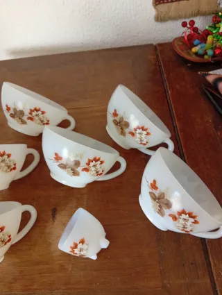 Set Arcopal Almendros