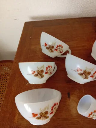 Set Arcopal Almendros