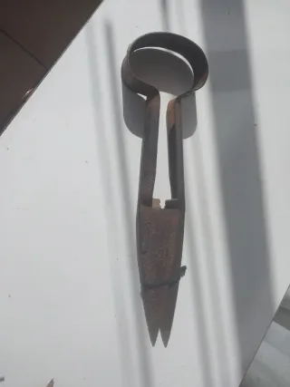 Tijeras de esquilar antiguas