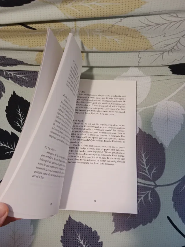 Dietari d'estiu amb pinzellades de tardor Boixareu