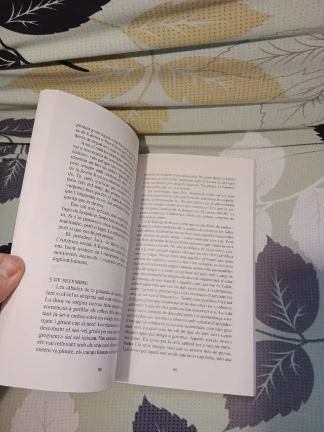 Dietari d'estiu amb pinzellades de tardor Boixareu