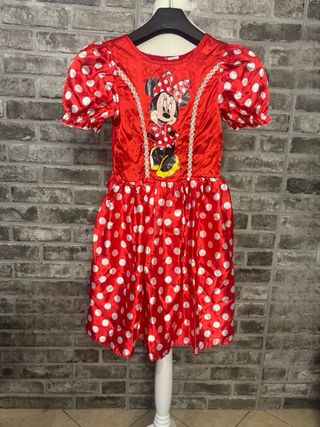 2 Costumi Disney Bambina Sofia e Minnie