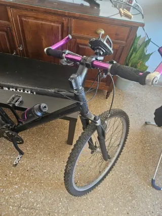Bicicleta + asiento pro + cadena + base celular