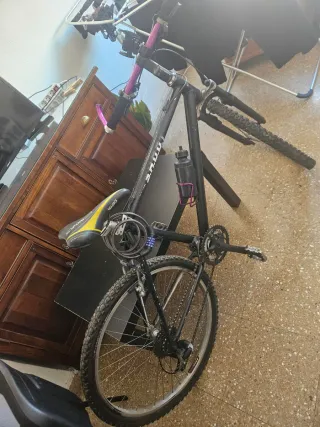 Bicicleta + asiento pro + cadena + base celular