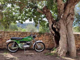 Bultaco Brinco 74cc Enduro Verde/Blanco