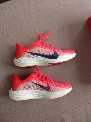 Zapatillas Nike Pegasus Plus