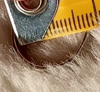 Anillo Octogonal Plata de Ley