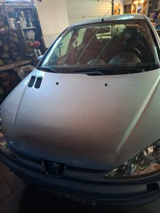 Peugeot 206 2004