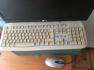 Ordenador LG Negro y gris