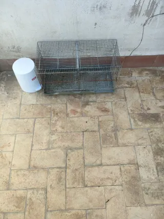 Jaula para pájaros metálica