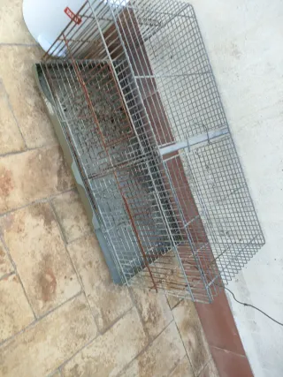 Jaula para pájaros metálica