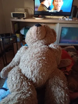 Oso de peluche marrón suave