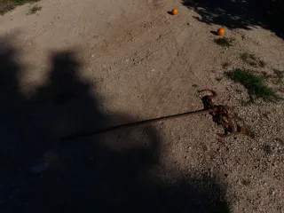 Balanza romana antigua a restaurar