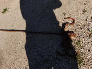 Balanza romana antigua a restaurar