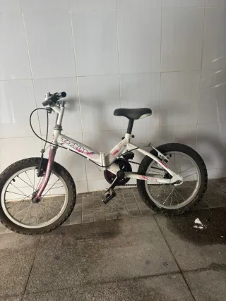 Bicicleta cada una 30 ruros