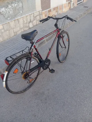 Bicicleta de paseo Selle Royal