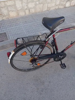 Bicicleta de paseo Selle Royal