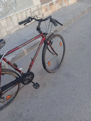 Bicicleta de paseo Selle Royal