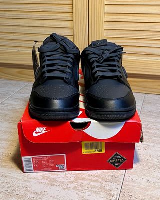 Nike Dunk Gore-Tex