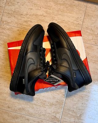 Nike Dunk Gore-Tex