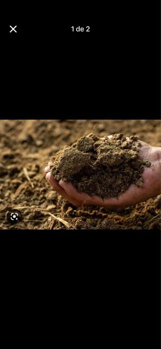 Remolque de estiércol