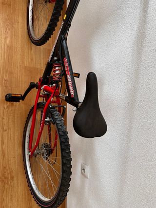 Bicicleta Montaña Niños