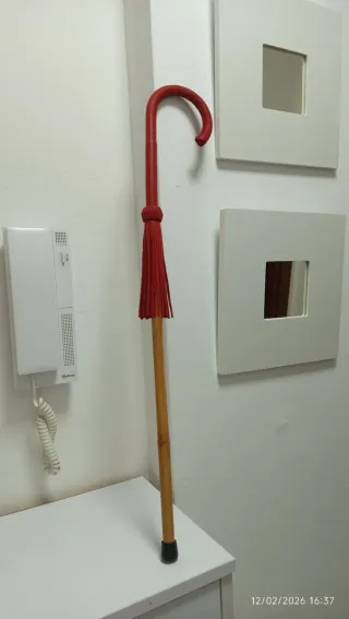 Cachaba bastón junco(PARA NIÑOS)